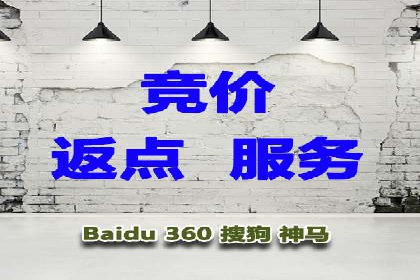 某某SEM团队成功案例：广告投放策略揭秘